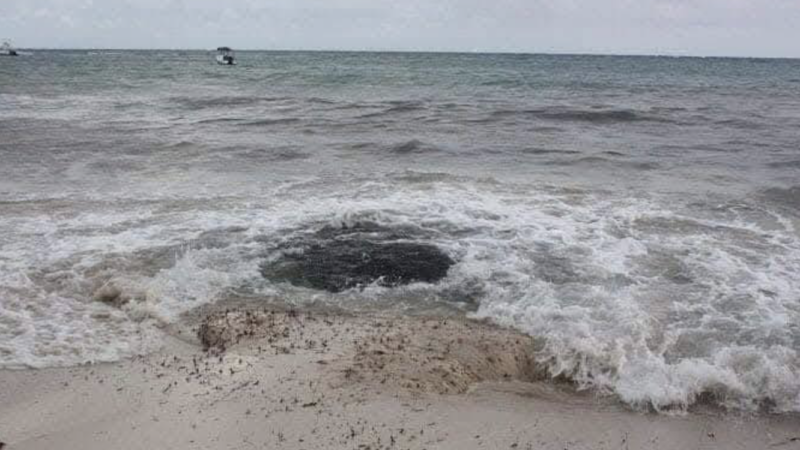 Extraño ‘Ojo de Agua’ aparece en Playa del Carmen.