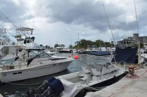 SUSPENDEN PAGOS PRESTADORES DE SERVICIOS NÁUTICOS EN LA MARINA DE COZUMEL